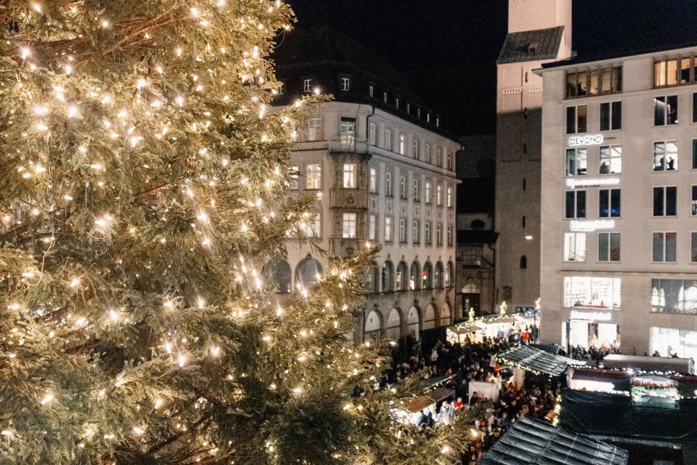 Der Christbaum stammt aus Antdorf im Landkreis Weilheim-Schongau