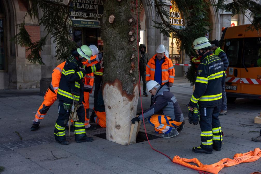 Am Ende stand der sicher Baum dort, wo er hin sollte. 