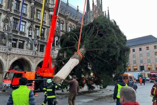 Der Christbaum wurde von der Feuerwehr in die Senkrechte gebracht. Der Christbaum wurde von der Feuerwehr in die Senkrechte gebracht.