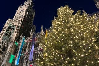 Der Rathaus-Christbaum wird seit 1977 von Gemeinden oder Tourismus-Regionen gestiftet und ist längst zum Wahrzeichen des Münchner Christkindlmarkts geworden. 